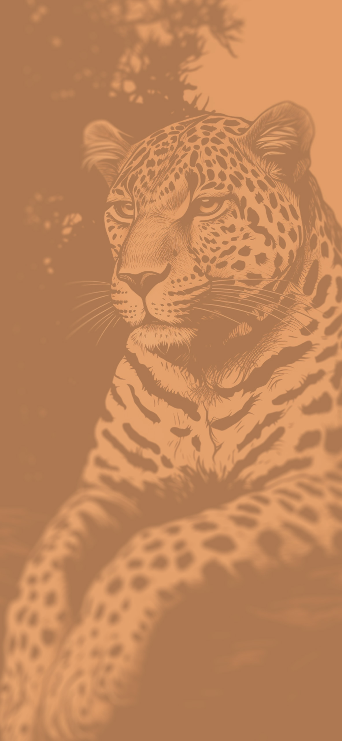 Cute little leopard 750x1334 iPhone 8766S wallpaper background  picture image