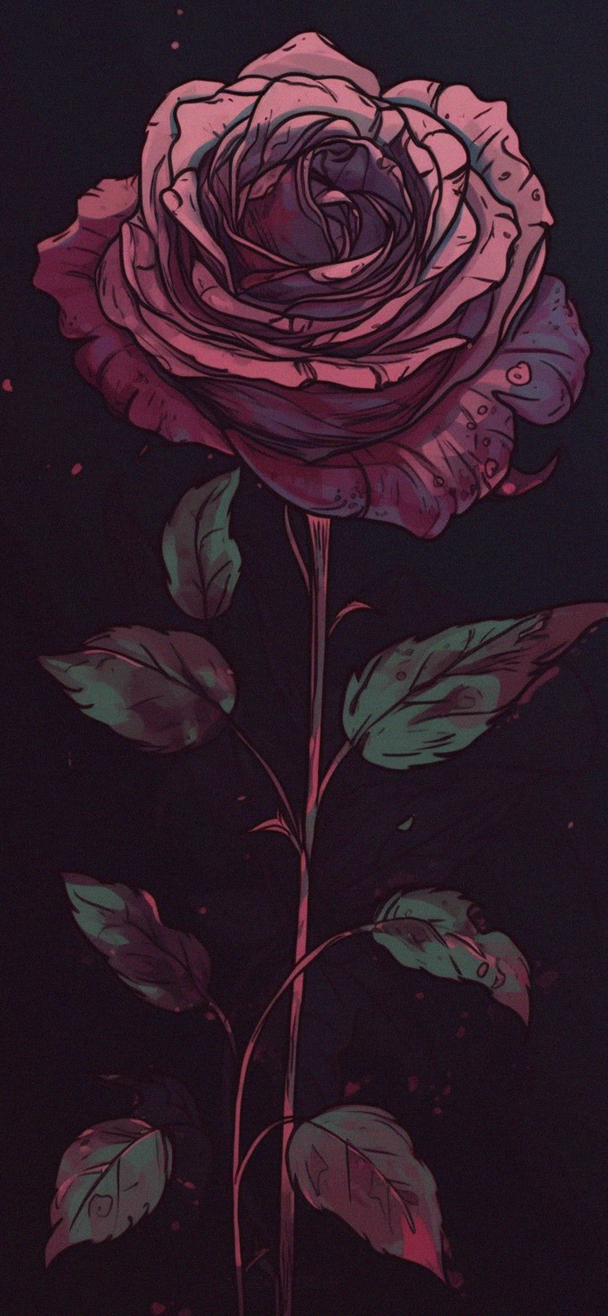 Red Rose Wallpaper 4K, Red flower, Black background, 8K