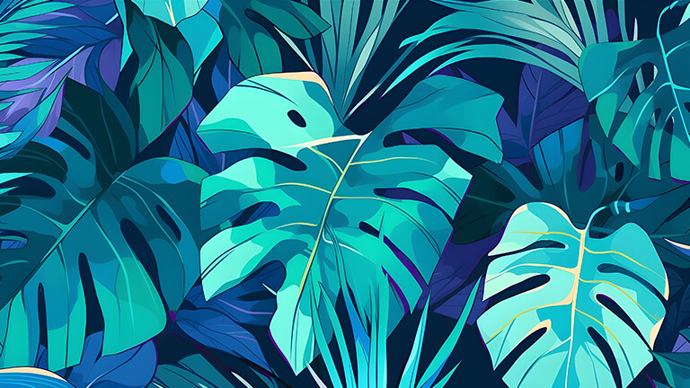 fonds d'écran pc bleu vert avec feuilles tropicales