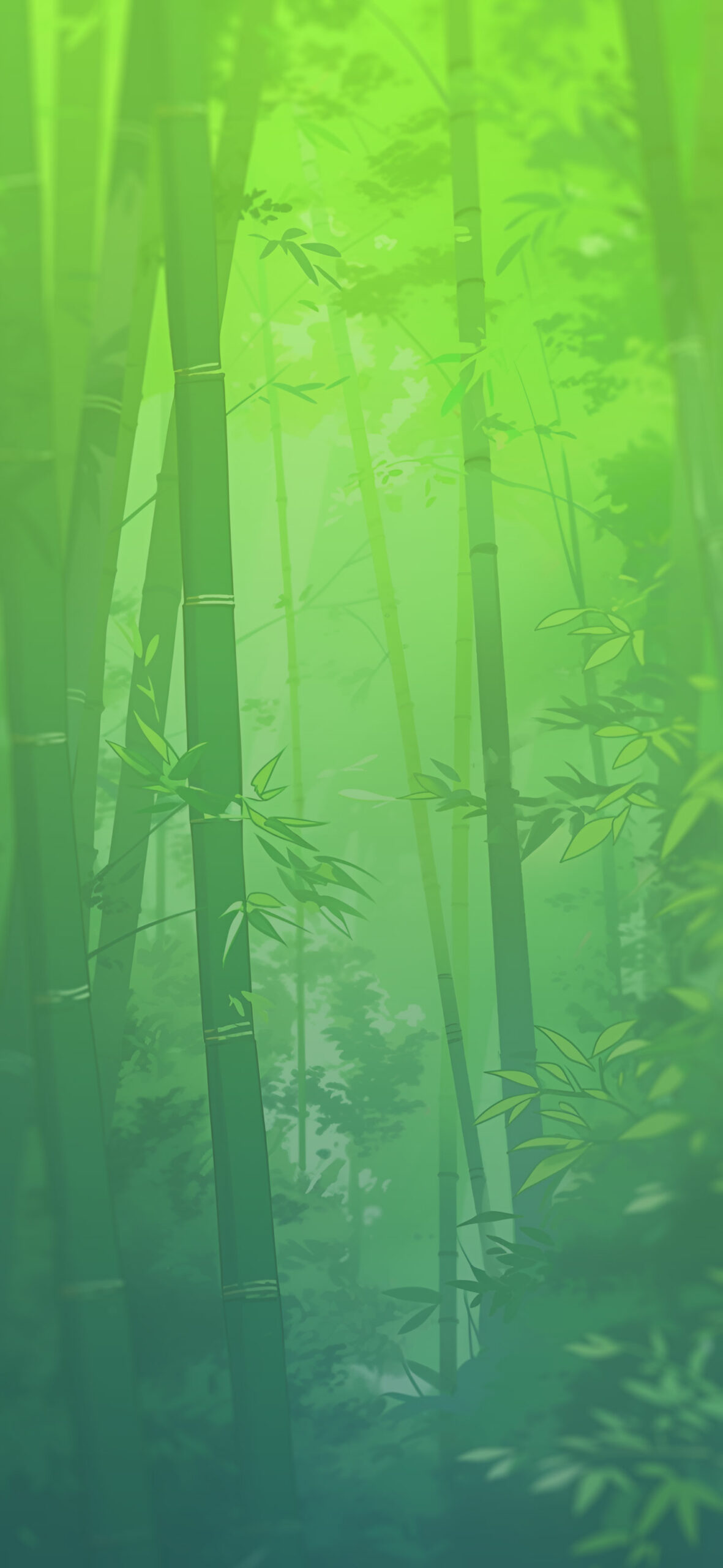Dense bamboo forest green wallpaper Aesthetic forest wallpaper
