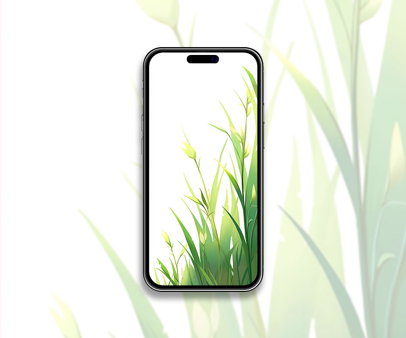 Gentle green grass on a white background wallpaper Nature aest