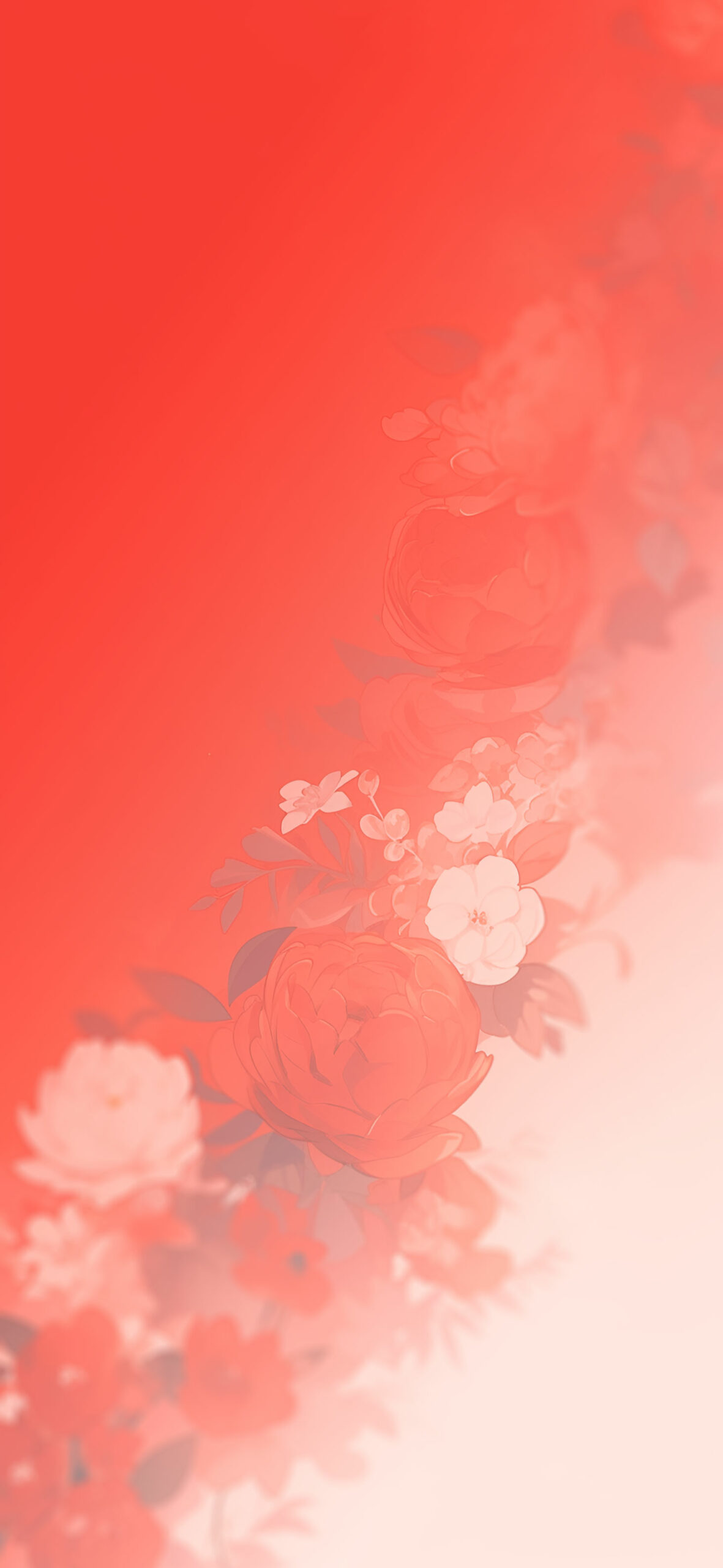Red & white flowers beautiful wallpaper Cool floral wallpaper