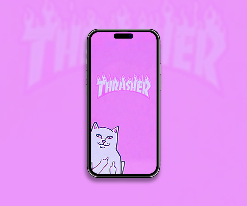 Thrasher lord nermal vintage pink wallpaper VHS style art wall