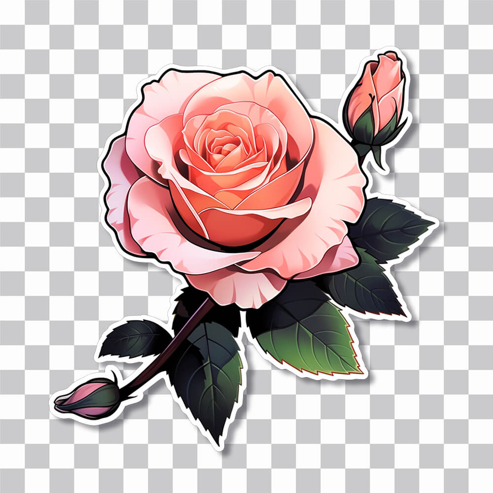 beautiful pink rose sticker cover