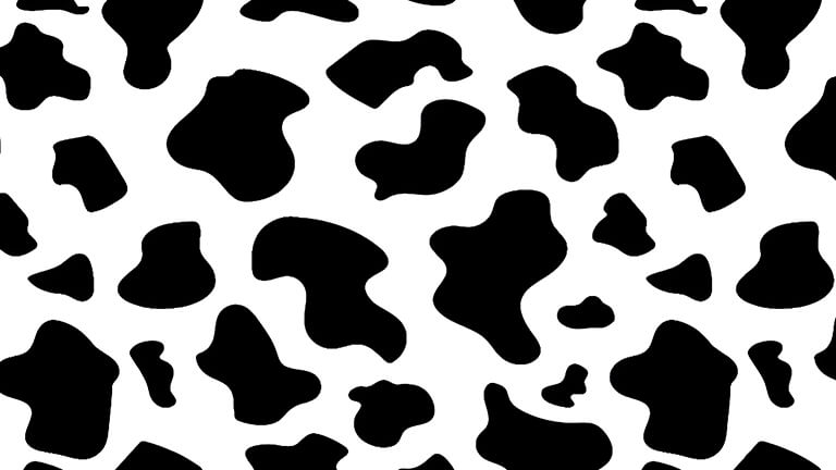 Cubierta de fondo de escritorio de patrón blanco negro de vaca