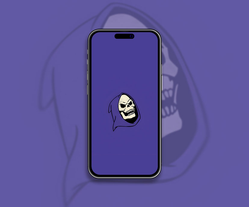 Masters of the universe skeletor head wallpaper Epic cartoon a