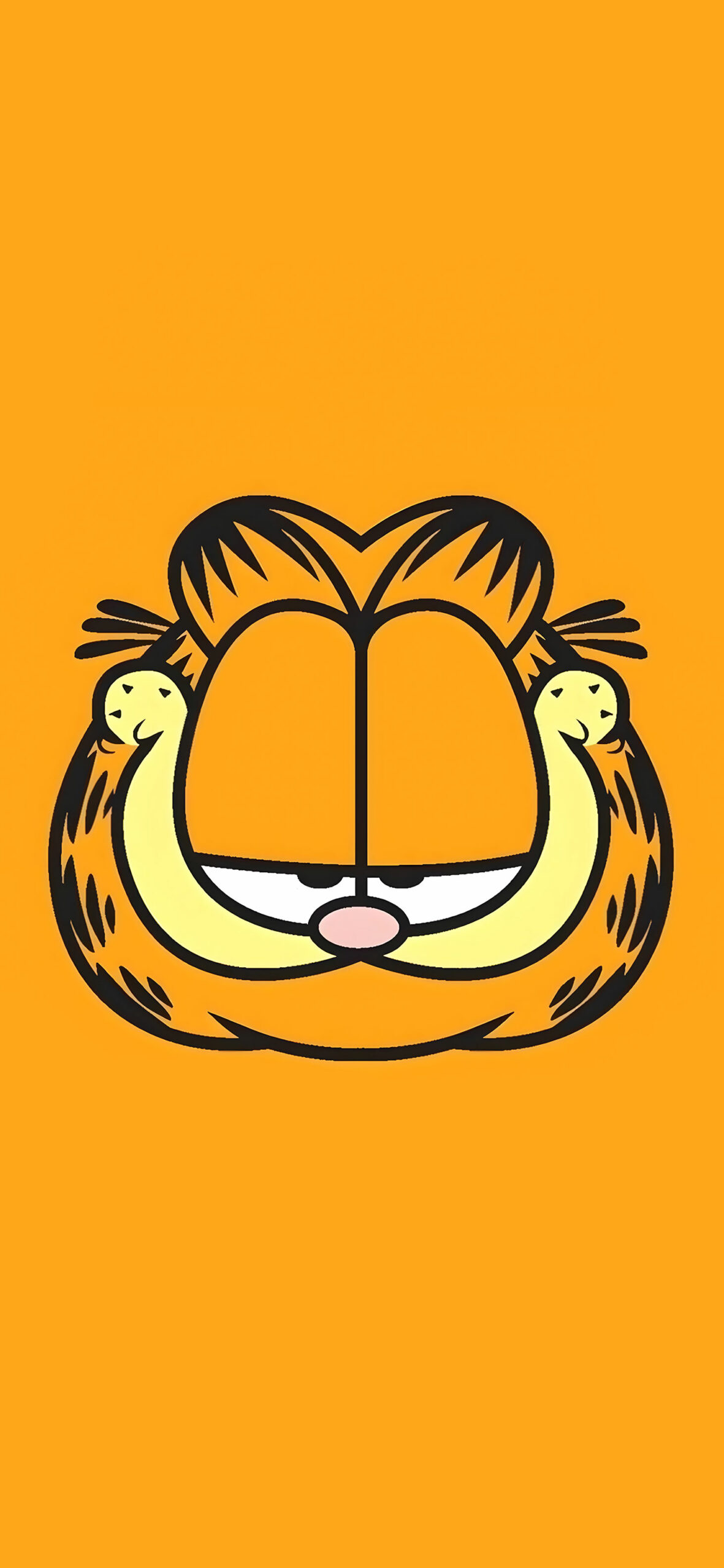 Smiling Garfield Orange Wallpapers - Cool Cartoon Wallpapers 4K