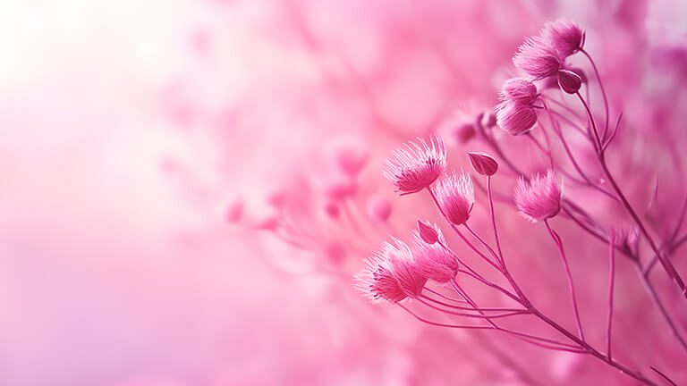 pink aesthetic flowers blur desktop wallpaper cover