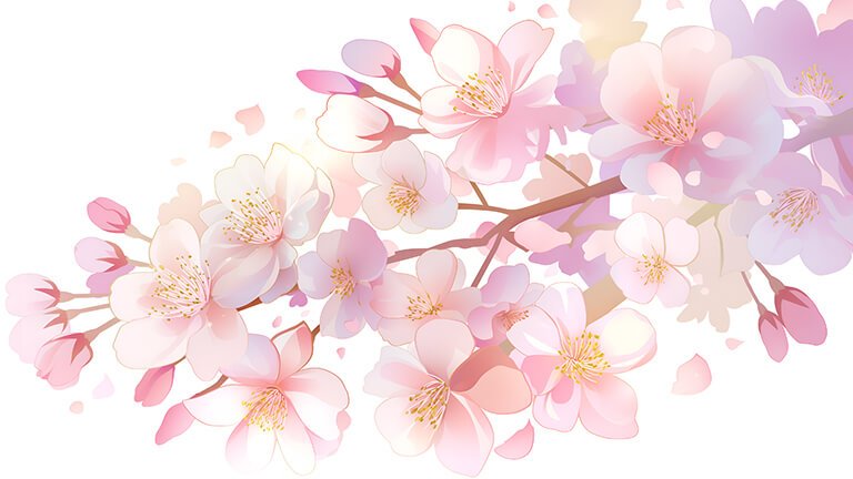 blooming apple branch white desktop wallpaper cover