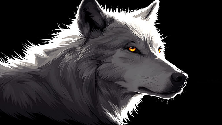 white wolf with orange eyes black desktop wallpaper cover