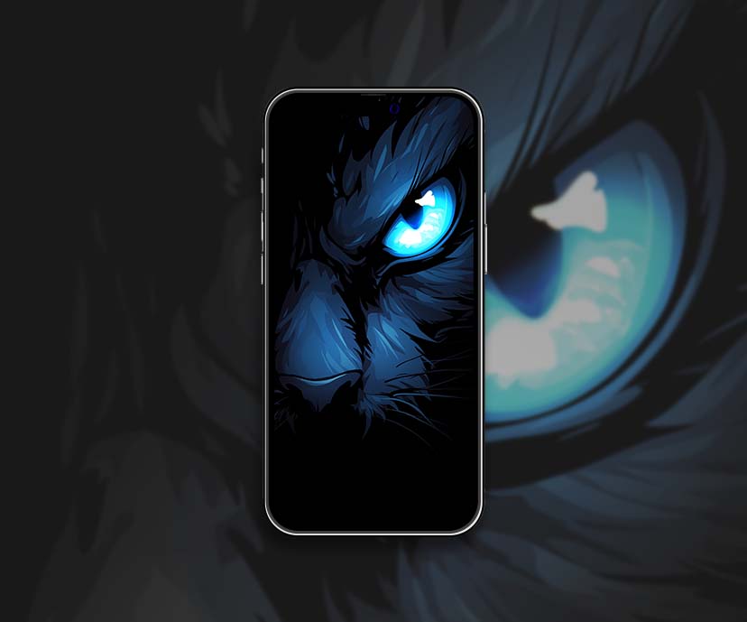 black cat blue glowing eye black wallpapers collection