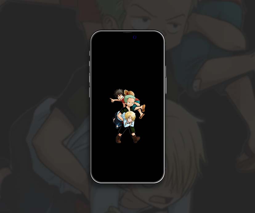 one piece zoro carrying luffy sanji wallpapers collection