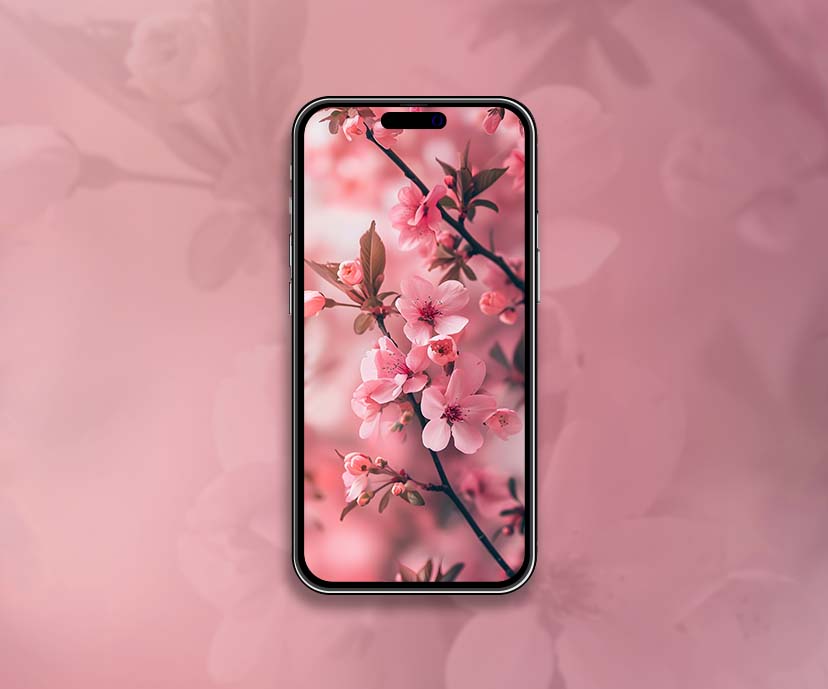 spring pinky blossom wallpapers collection