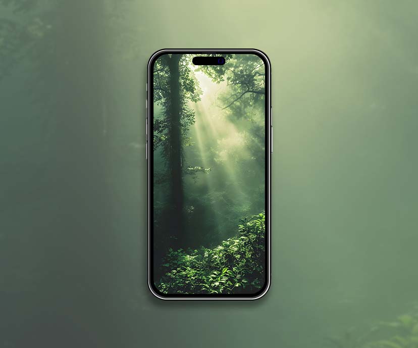 sunbeam forest green wallpapers collection