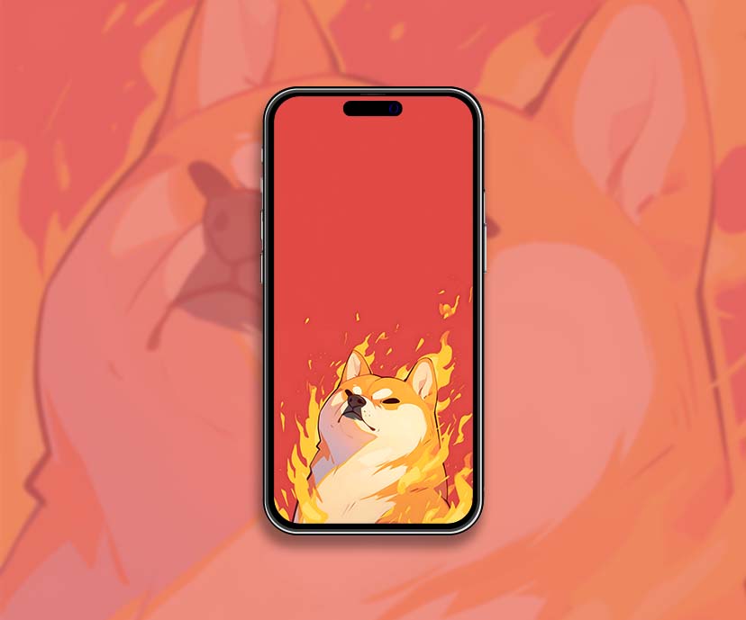 shiba inu fire wallpapers collection