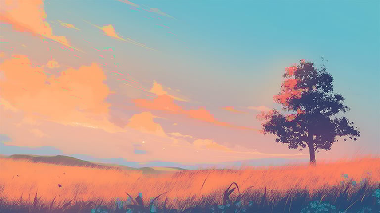 sunset field aesthetic nature desktop wallpaper cover