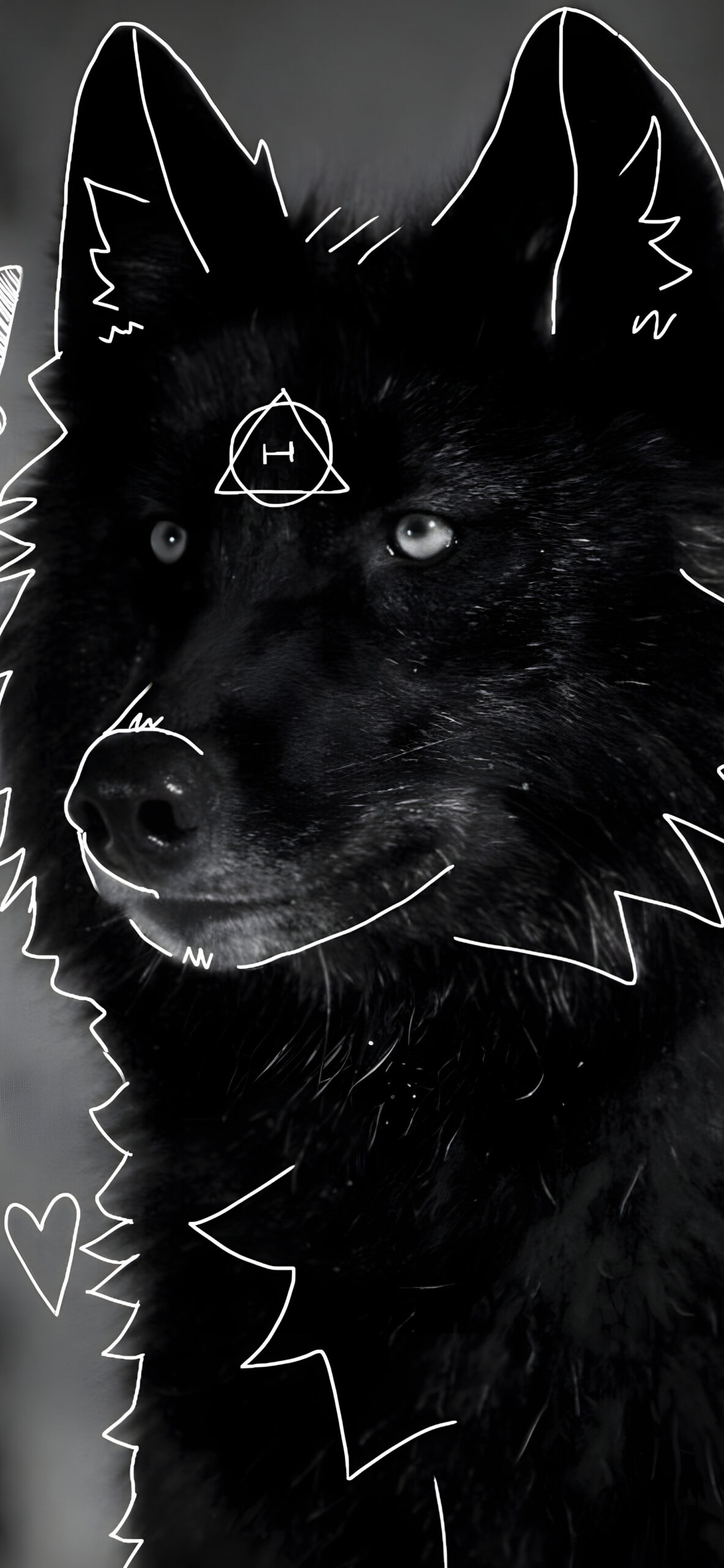 Therian Wolf Art Wallpapers - Enigmatic Animal Wallpapers iPhone