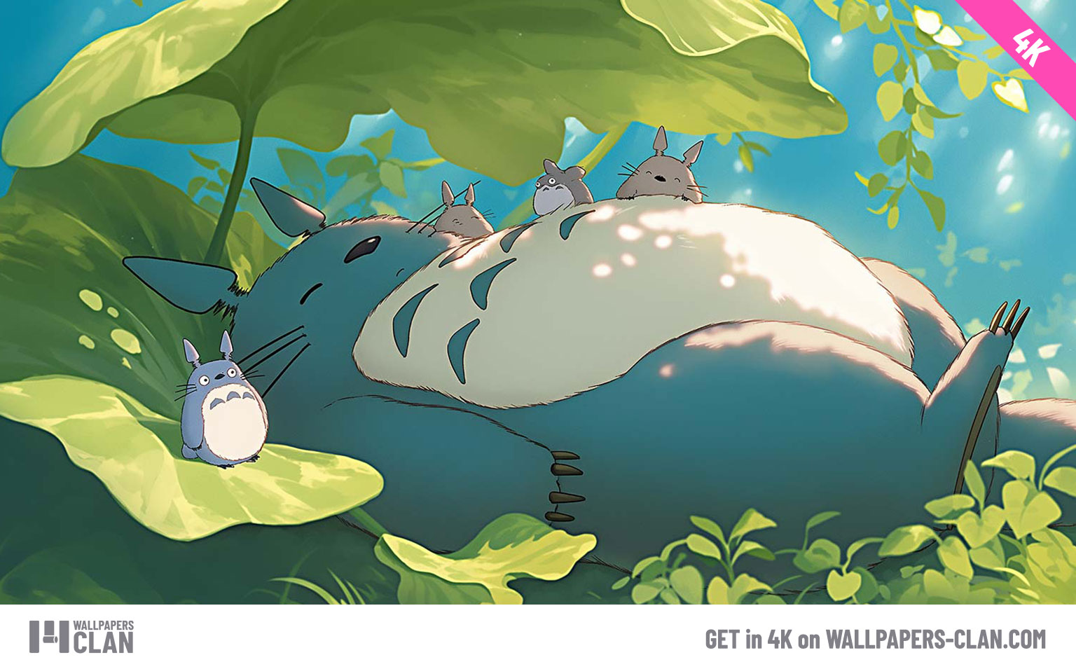 My Neighbor Totoro Desktop Wallpaper