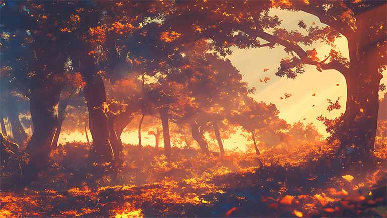 fall autumn forest golden leaves sunlight desktop wallpaper cover