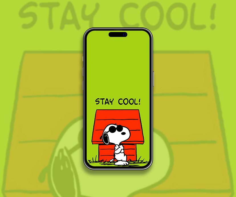 snoopy stay cool wallpapers collection
