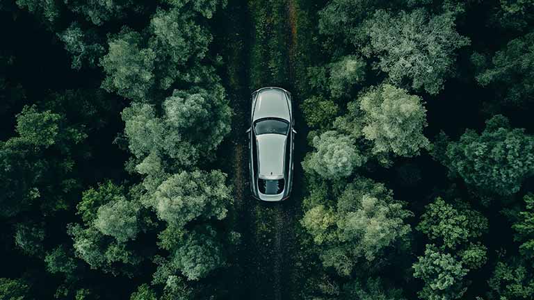 car in forest peaceful drive desktop wallpaper cover
