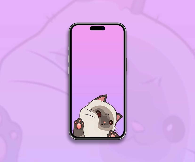 funny cute cat wallpapers collection