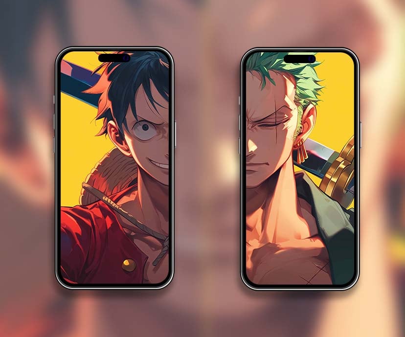 luffy &zoro mugiwara swordsman matching wallpapers collection