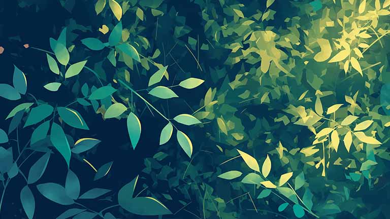 lush foliage sunlight desktop wallpaper cover