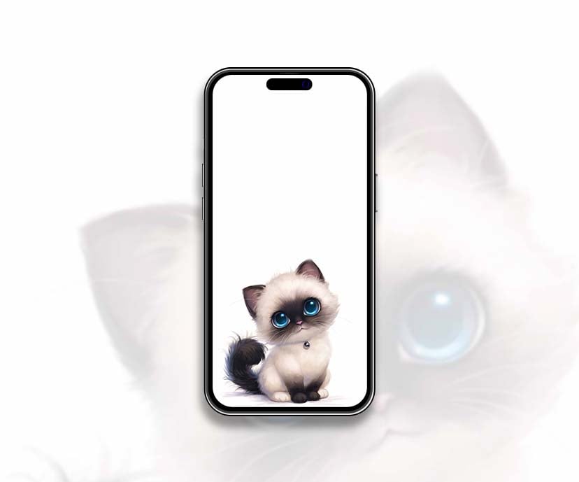 fluffy blue eyed kitten cute wallpapers collection