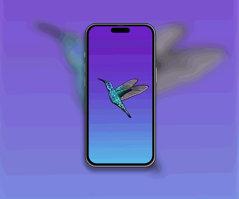 hummingbird tap to switch wallpapers collection