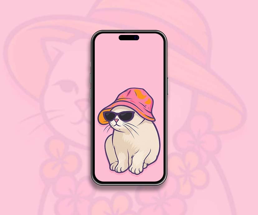 cute bucket hat cat wallpapers collection