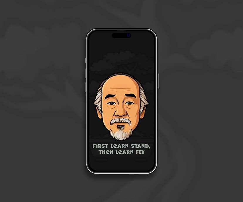 karate kid mr miyagi wallpapers collection