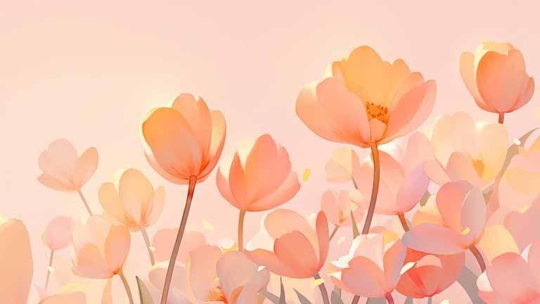 pink tulip dream desktop wallpaper cover