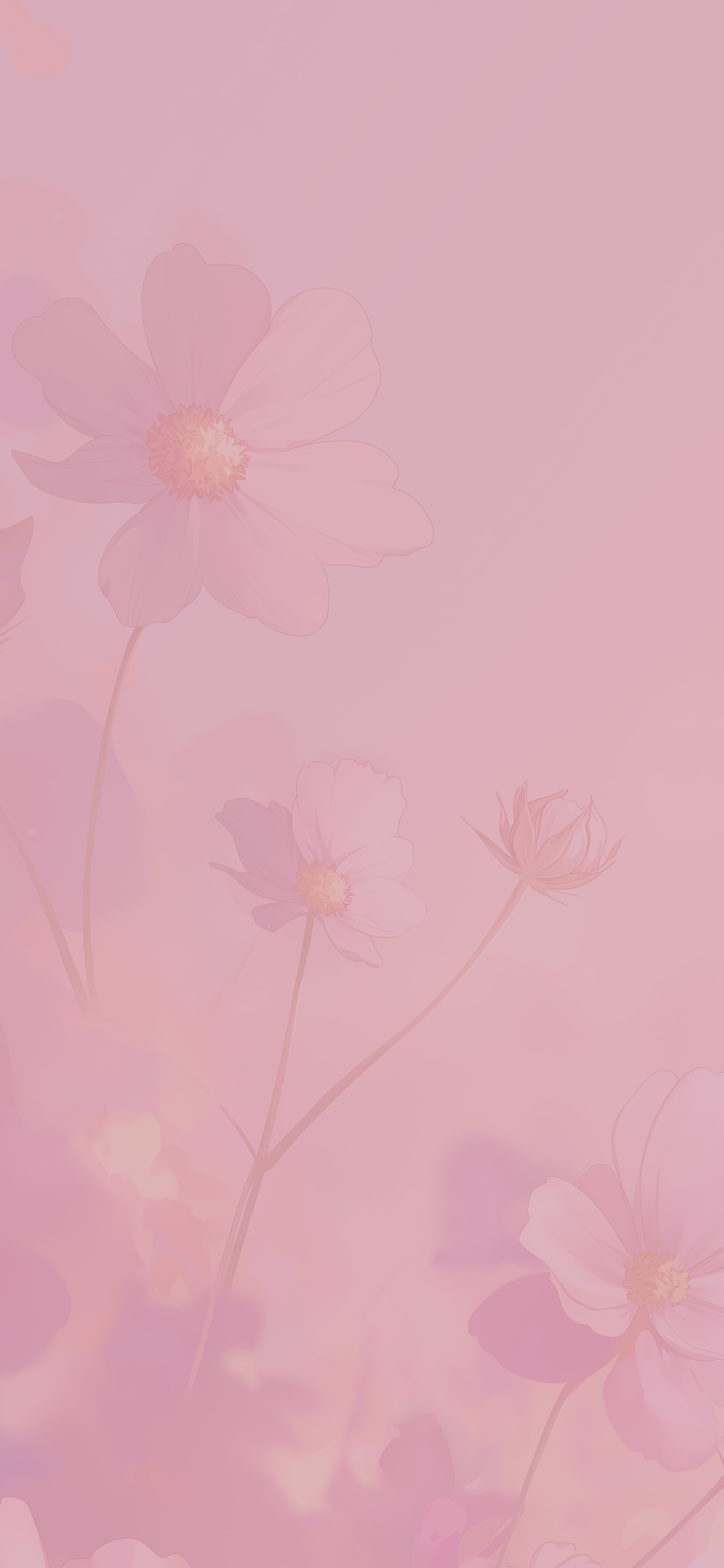Soft Pastel Cosmos Flowers Dreamy Pink Bloom Wallpapers HD, image size:2000x4329