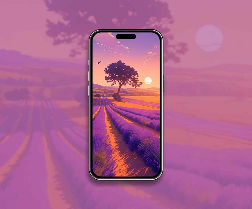 lavender sunset provence landscape wallpapers collection