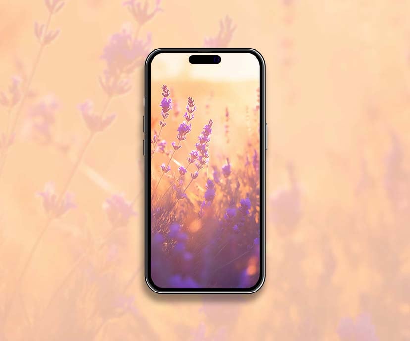 soft lavender bliss bokeh aesthetic floral wallpapers collection