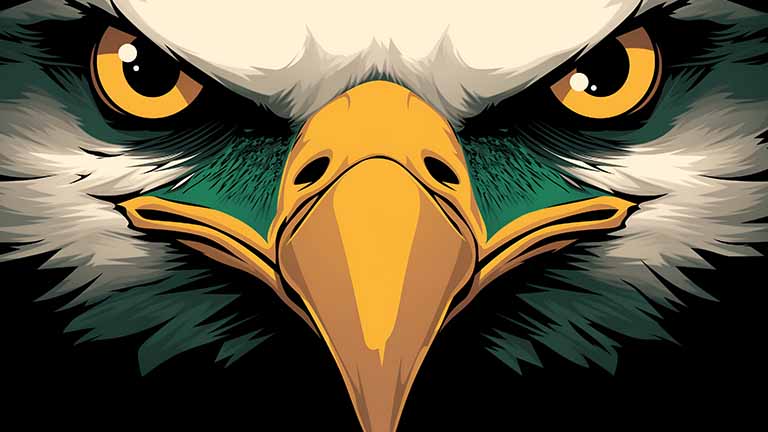 philadelphia eagles fierce gaze desktop wallpaper cover